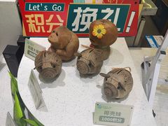 -春润大地海南椰子鸡(沙井京基百纳广场店)