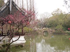 -上海醉白池公园