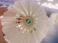 -V7动力羽毛球会馆