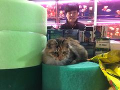 -万商花鸟市场