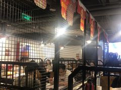大堂-食潮汕头鲜牛馆(望京保利店)
