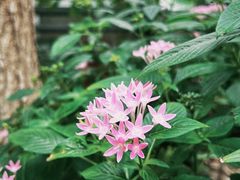 -国家植物园
