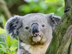 -上海动物园(地铁站)