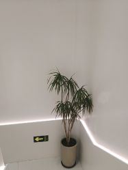 -LJOY丽锦造型·烫发染发