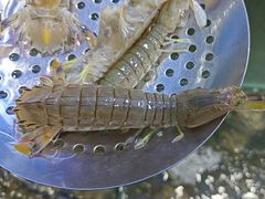 -仙螺岛海鲜自助餐厅(总店)