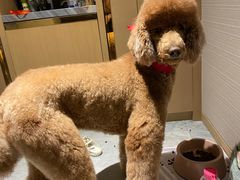 -熊小胖宠物生活馆(天华园店)