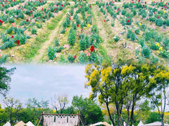 -广东花都香草世界旅游度假区