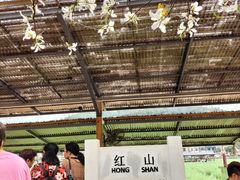 -红山村