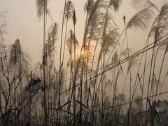 -桤木河湿地公园