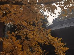 -大觉寺-停车场