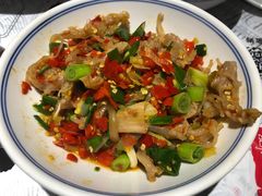 鸭掌筋-壹盏灯(蚂蚁工房店)