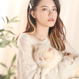 33探店｜秋日慵懒风🍂和宝一起拍人宠写真🧡