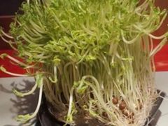 -巴九门老火锅(来福士打望店)