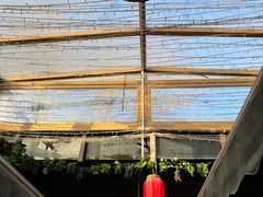 -丽江庭院·云南野生菌·海鲜火锅(鼓楼四合院店)