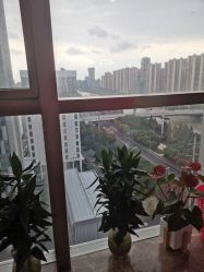 -涌泉妈咪树通乳·产后恢复