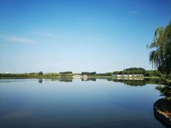 -大兴滨河森林公园