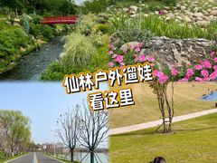 -羊山湖公园