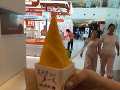 -野人先生现做冰淇淋(北京王府井东方新天地店)