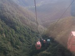 -王顺山国家森林公园
