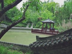 -朴园