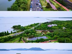 -西京湾花海