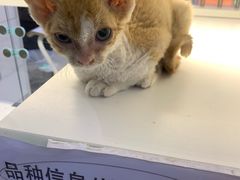 -万达广场(大明宫店)