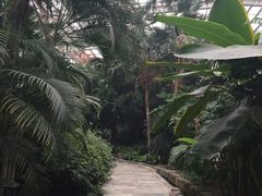 -龙达温泉生态城