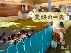 -萌宠亲子动物乐园(槐房万达店)