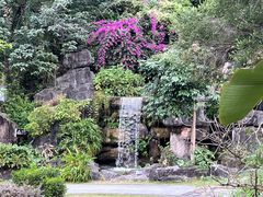 -广州神农草堂中医药博物馆