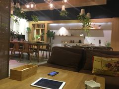 -柴务处·柴犬主题狗咖