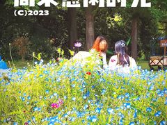 -上海滨江森林公园