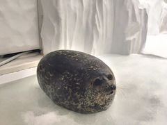 -豪客来牛排(大汉口城店)