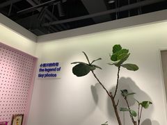 -天真蓝照相馆(杭州滨江宝龙店)