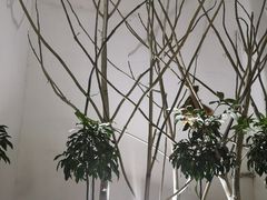 -柳州菜饮食文化博物馆