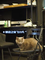 -飛凡TATTOO纹身•原创