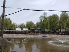 -尚庄度假村·庭台树下·户外烧烤·团建CS·轰趴营地(上庄水库店)