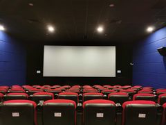 -大地影院(上海南汇店)