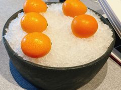 -柿合缘新京菜(国金中心商场店)