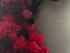 -叁 Three· bistro餐酒馆