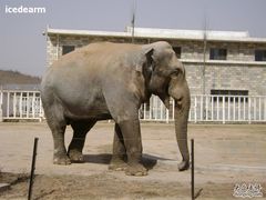 -石家庄市动物园