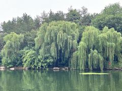 -天目湖涵田度假村