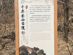 -北京鹫峰国家森林公园