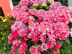 -人民公园(罗湖区)