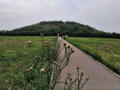 -汉景帝阳陵博物院