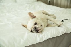 -ZOO KIDS象集摄影工作室(西城公馆店)