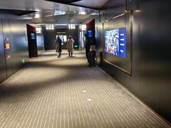 -奥斯卡升龙国际影城(RealD Cinema)