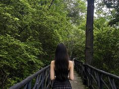 -龙湾潭国家森林公园