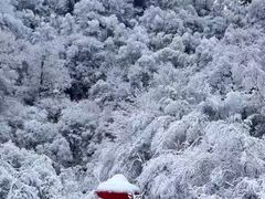 -叠溪松坪沟景区