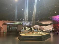 -自贡恐龙博物馆