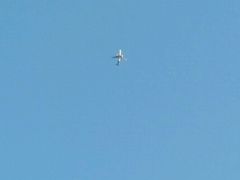 -如意香辣鸡架(总店)